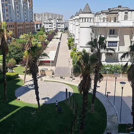 Modern * בורסה